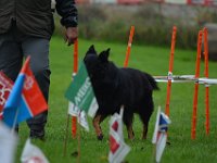 Wesensprüfung  Bes.: Karin Stadlin und Goofy Windler
